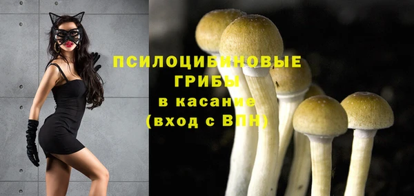 твердый Зеленодольск