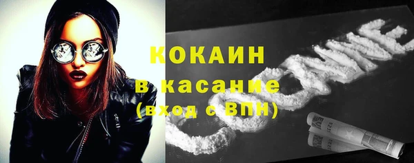 прущие грибы Зеленокумск