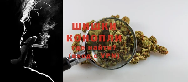 прущие грибы Зеленокумск