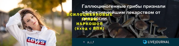 твердый Зеленодольск