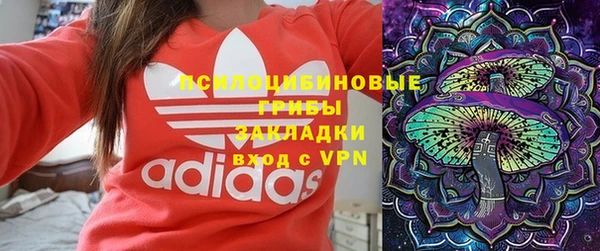 твердый Зеленодольск