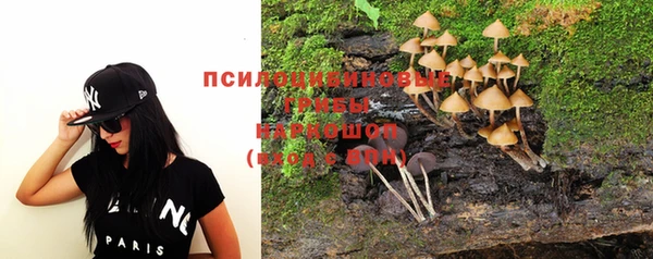 твердый Зеленодольск