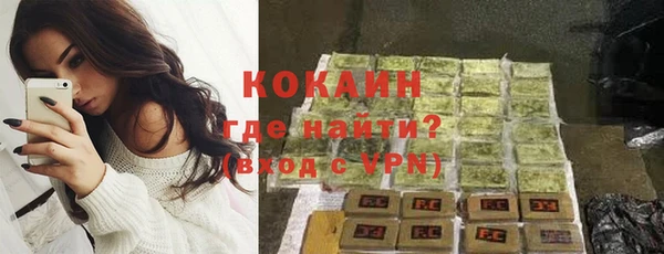 прущие грибы Зеленокумск