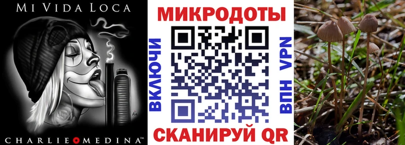 Галлюциногенные грибы мицелий  Купить  Бахчисарай 